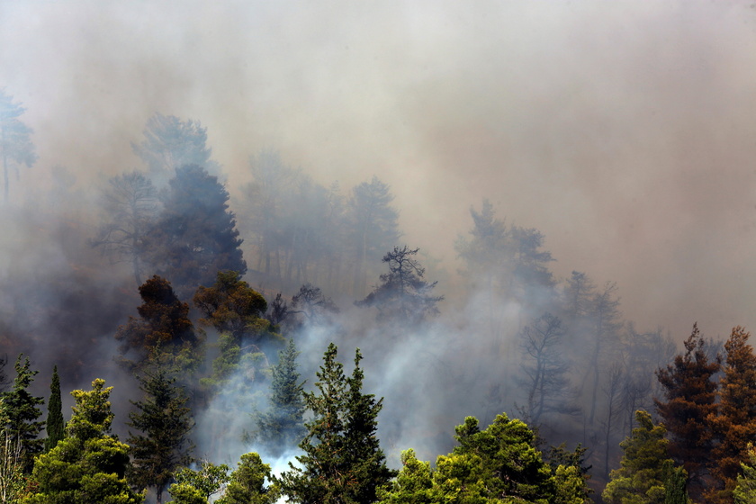 Wildfire in the area of Varnavas, Attica region