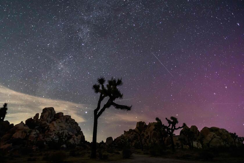 In California l'aurora boreale illumina il Joshua Tree National Park