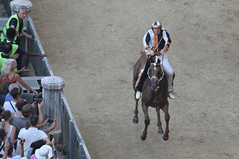 Traditional horse race Palio di Siena in Siena 