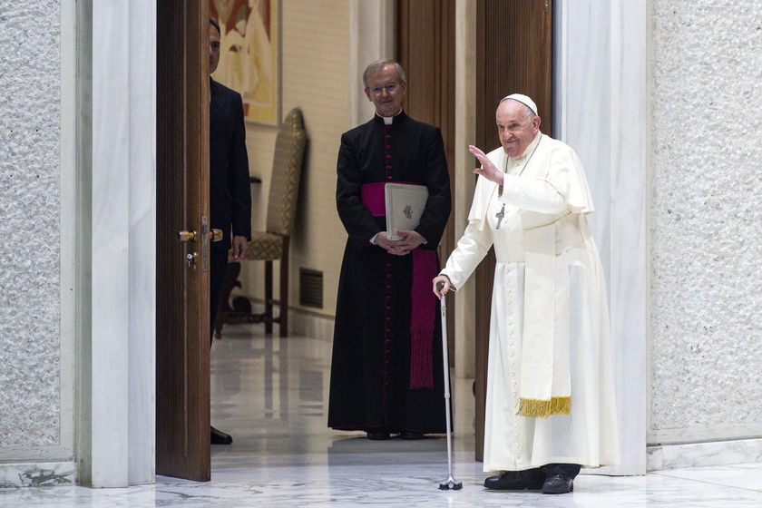 Pope Francis leads Wednesday's general audience in Vatican City