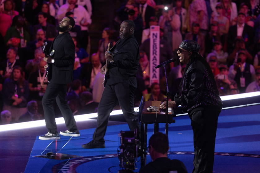 Democratic National Convention in Chicago, Illinois