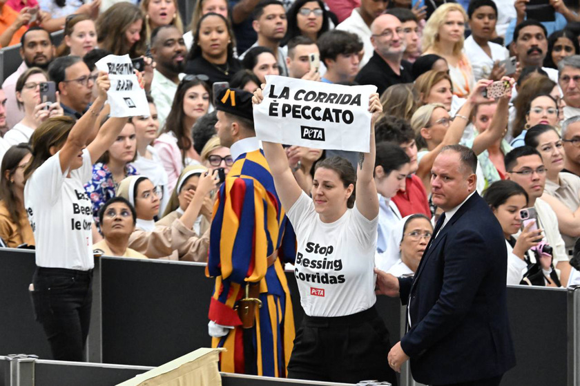 Il Papa in Aula Paolo VI, tornano le udienze generali