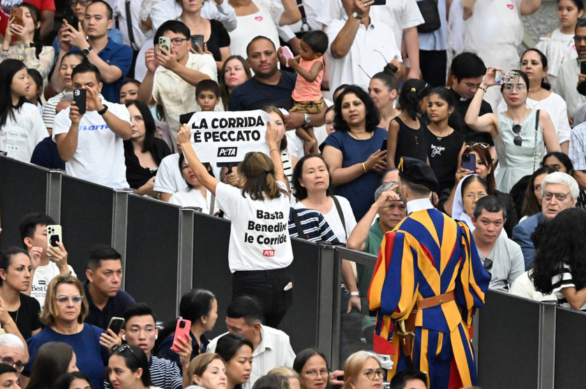 Il Papa in Aula Paolo VI, tornano le udienze generali