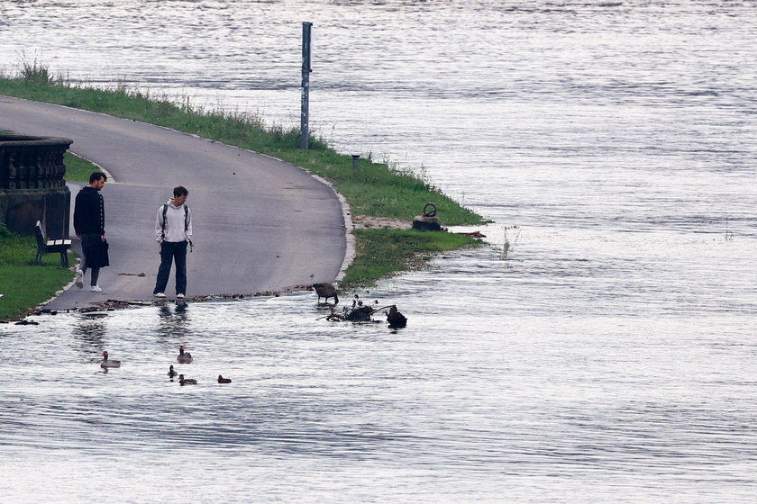 Flood alert in Saxony amid Elbe river's rising water level