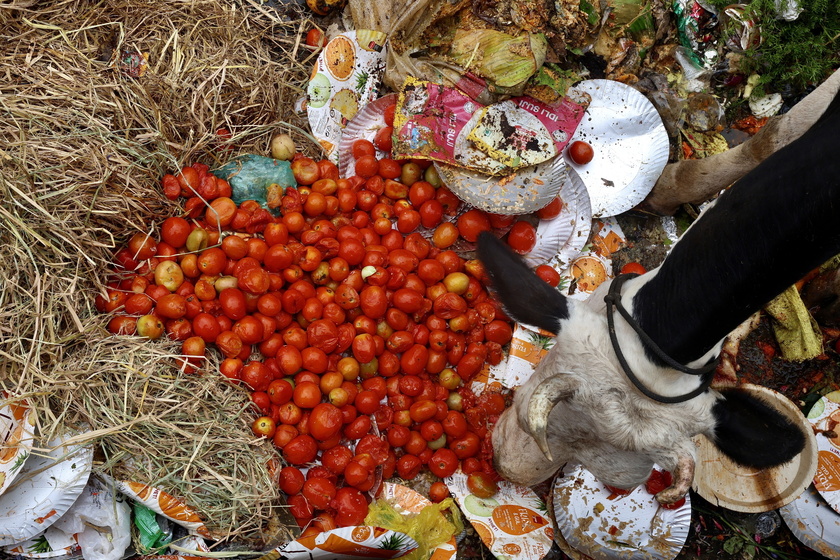 International Day of Awareness of Food Loss and Waste observed in India