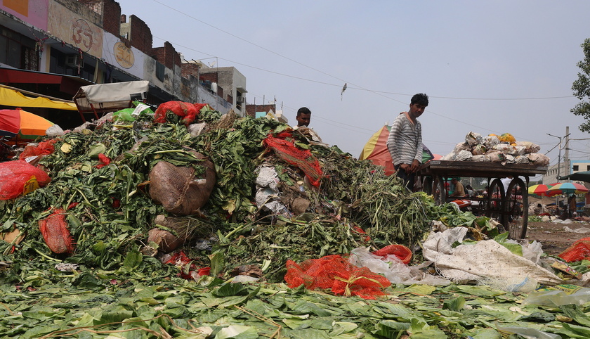 International Day of Awareness of Food Loss and Waste observed in India