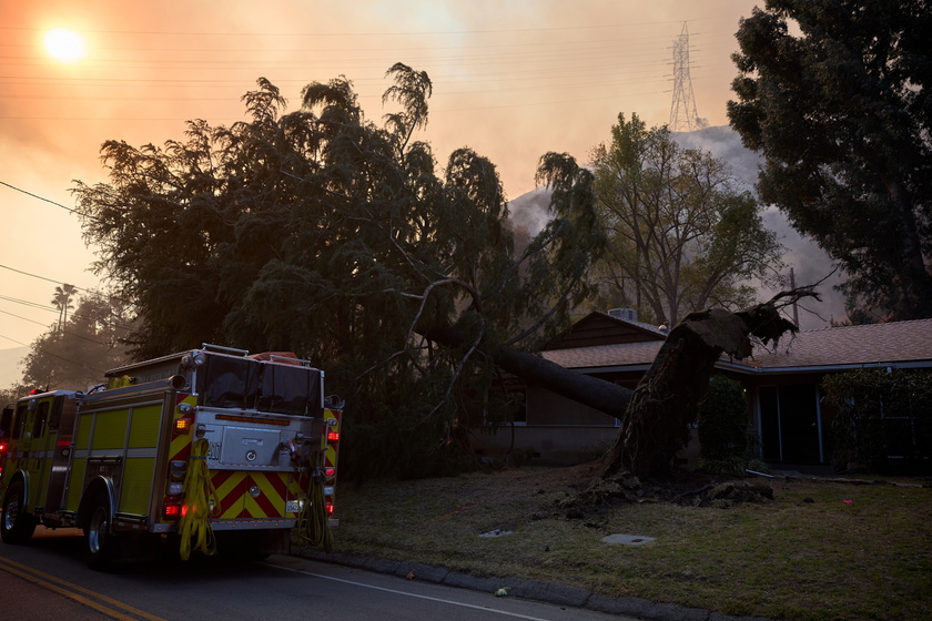 Wildfires continue to rage through Los Angeles area