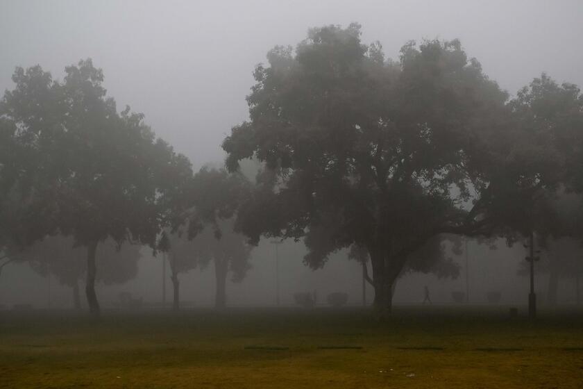 Fitta nebbia in India del nord, aeroporti e ferrovie nel caos