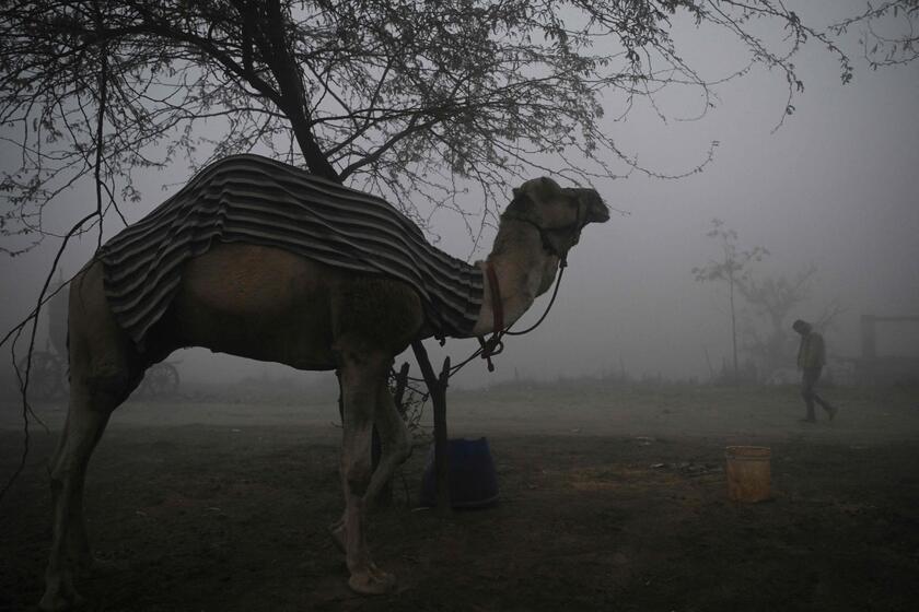 Fitta nebbia in India del nord, aeroporti e ferrovie nel caos