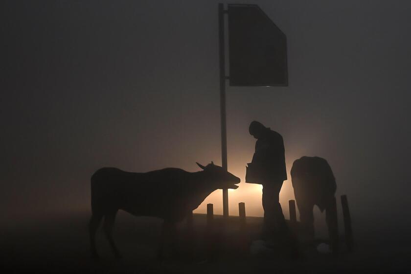 Fitta nebbia in India del nord, aeroporti e ferrovie nel caos