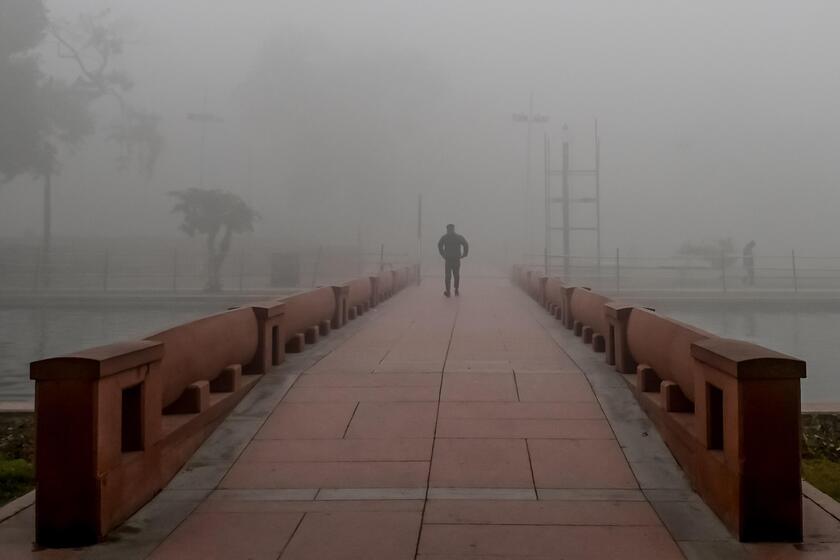 Fitta nebbia in India del nord, aeroporti e ferrovie nel caos