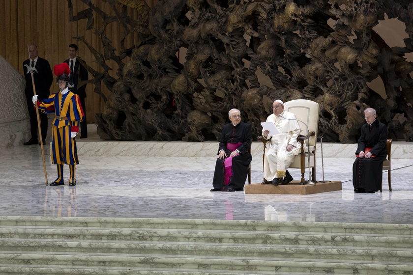 Pope Francis in audience at the Paolo VI hall, Vatican City