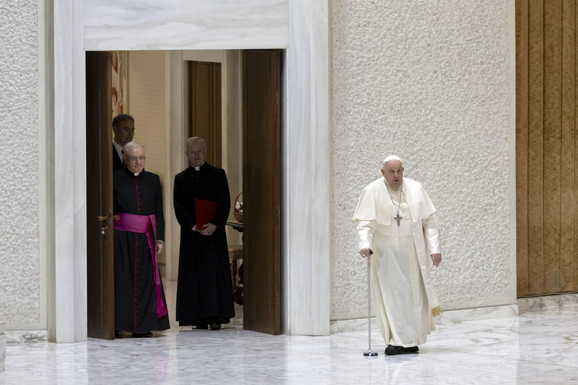 Pope Francis in audience at the Paolo VI hall, Vatican City