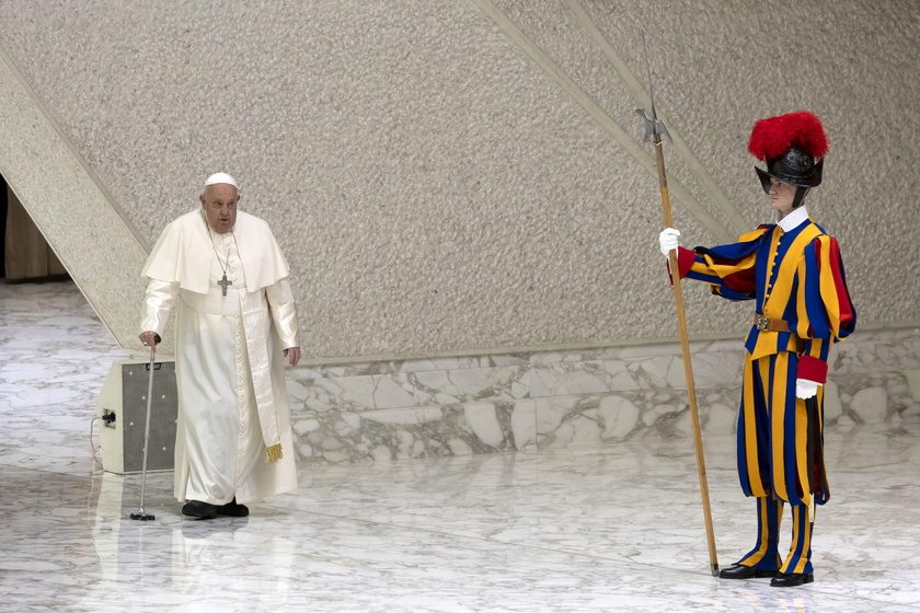 Pope Francis in audience at the Paolo VI hall, Vatican City