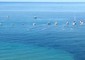 Giro: Alghero saluta con 100 nastri trainati da barche © ANSA