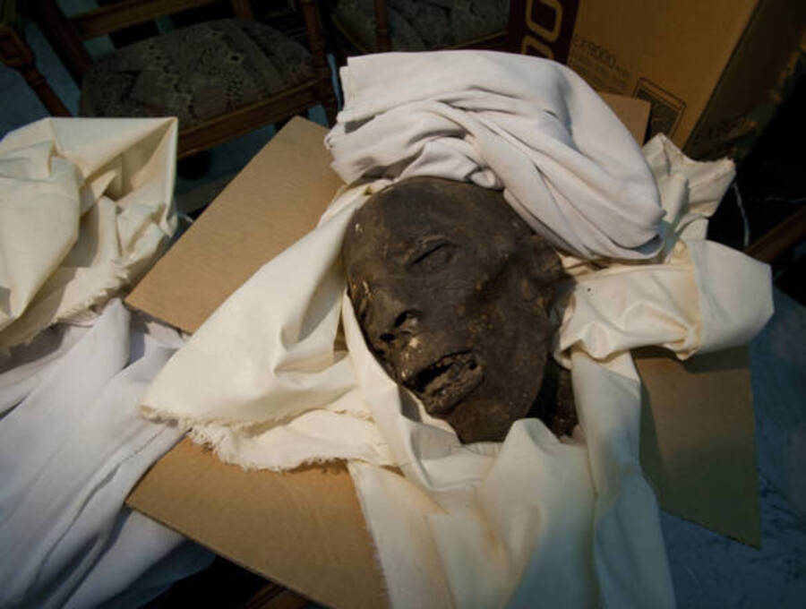 Una testa di mummia rinvenuta dopo i saccheggi © Ansa