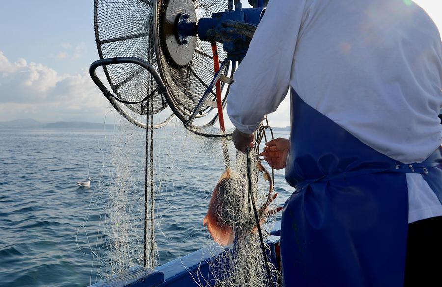 In Campania Pescatori A Caccia Di Rifiuti - Primopiano - Ansa.it