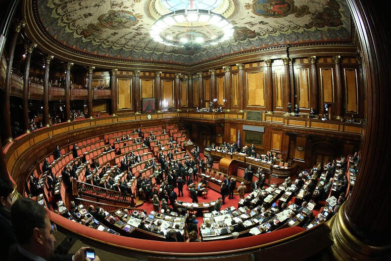 Una veduta dell 'aula del Senato -     RIPRODUZIONE RISERVATA