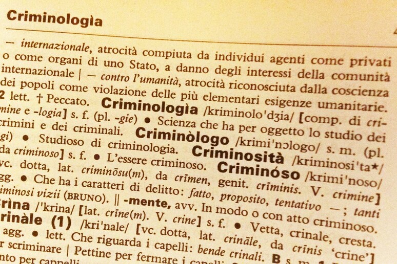 Il linguaggio della cronaca nera - RIPRODUZIONE RISERVATA