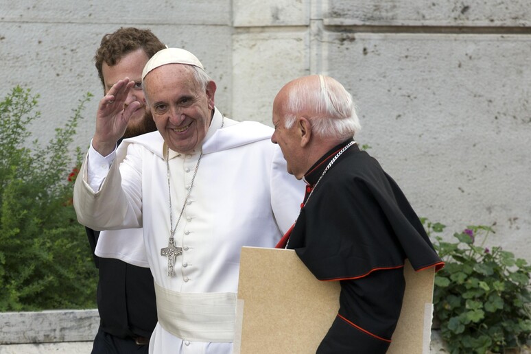 Papa Francesco © ANSA/AP