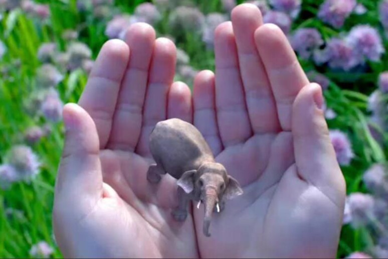 Magic Leap rimpiazzerà lo smartphone? - RIPRODUZIONE RISERVATA