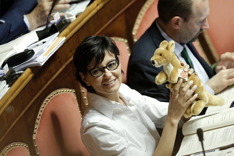 Patrizia Bisinella in Senato - RIPRODUZIONE RISERVATA