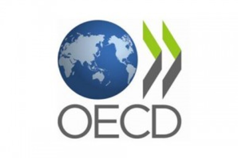 Oecd, Organisation for Economic Co-operation and Development - RIPRODUZIONE RISERVATA