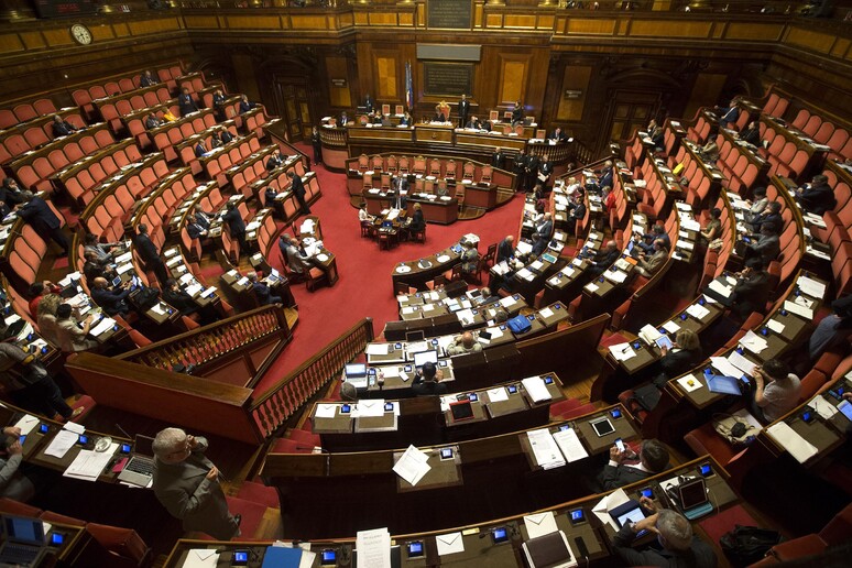 L 'Aula del Senato - RIPRODUZIONE RISERVATA