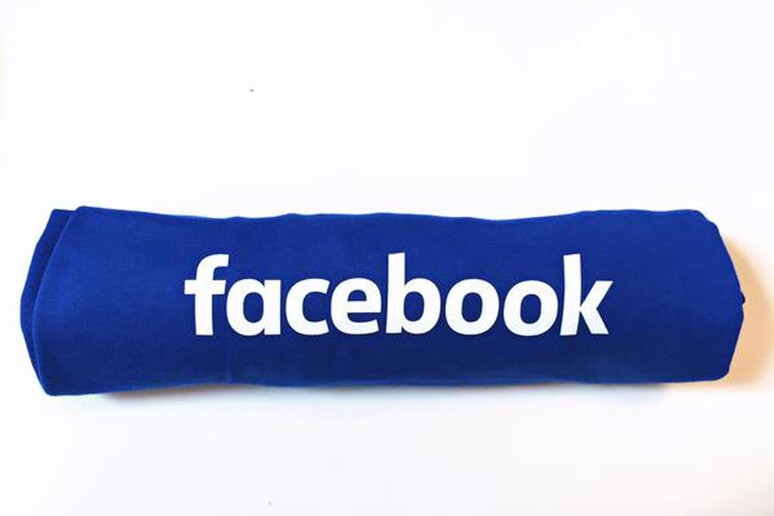 Facebook all 'ANSA, risponderemo a Agcom, proteggiamo dati - RIPRODUZIONE RISERVATA