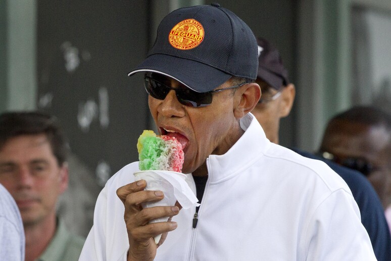 Il presidente Usa Obama © ANSA/AP