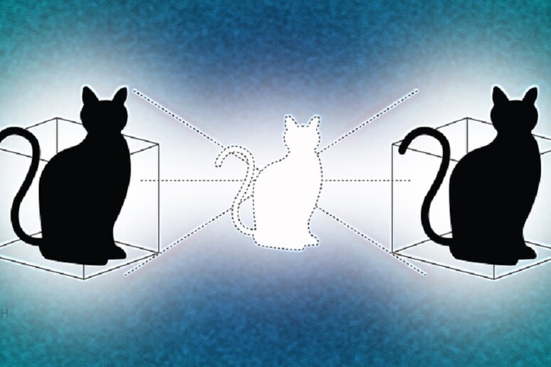 Aggiornato l 'esperimento di Schroedinger: il gatto è vivo e morto contemporaneamente in due luoghi diversi (fonte: Michael S. Helfenbein/Yale University) - RIPRODUZIONE RISERVATA
