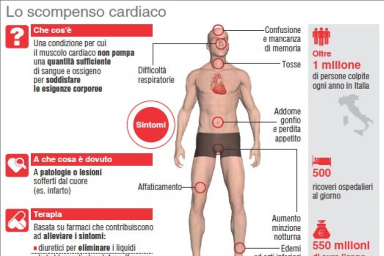 L 'infografica sullo scompenso cardiaco - RIPRODUZIONE RISERVATA