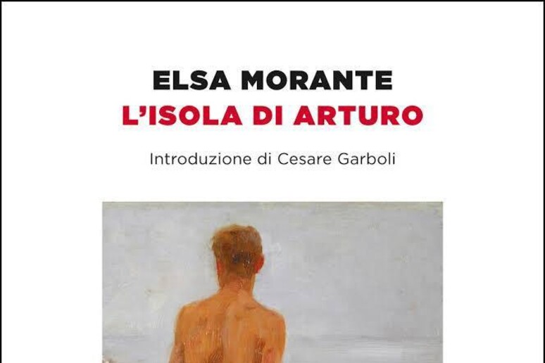 Un libro tante scuole - Elsa Morante, L'isola di Arturo - Istituto