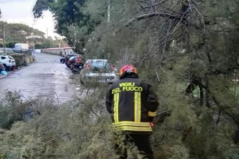 - RIPRODUZIONE RISERVATA