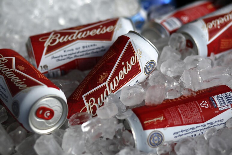 Birra Budweiser guarda a marijuana, si allea con Tilray © ANSA/AP