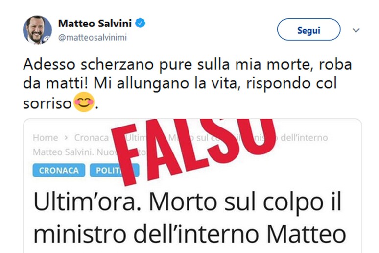 Dal profilo Twitter di Salvini - RIPRODUZIONE RISERVATA