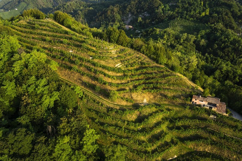 - RIPRODUZIONE RISERVATA