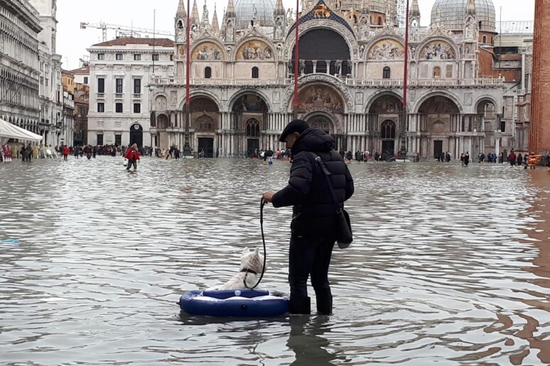 L 'acqua alta record  a Venezia nel novembre 2019 - RIPRODUZIONE RISERVATA