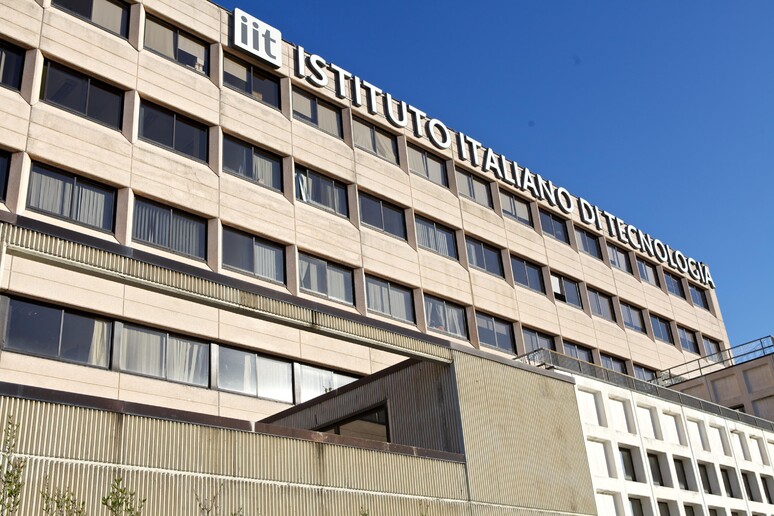 Iit - RIPRODUZIONE RISERVATA