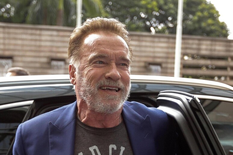 Arnold Schwarzenegger (foto d 'archivio) © ANSA/EPA