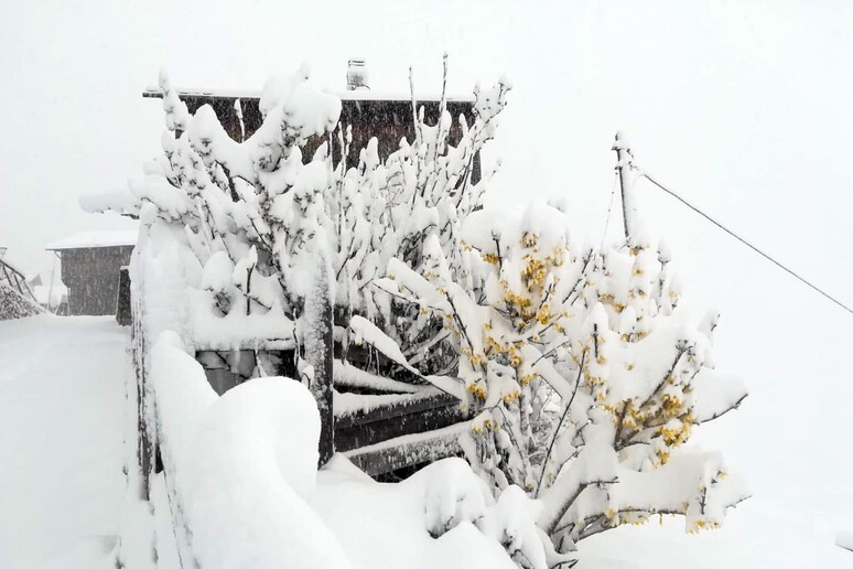 Neve sulle Dolomiti, pioggia su resto del Veneto - RIPRODUZIONE RISERVATA