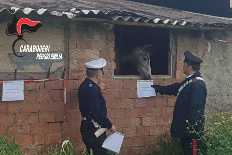 - RIPRODUZIONE RISERVATA