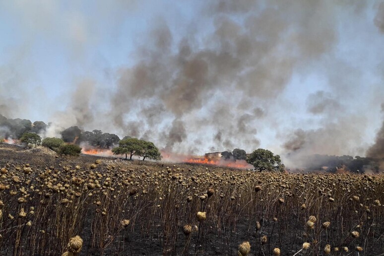 Incendio in Sardegna (foto archivio) - RIPRODUZIONE RISERVATA