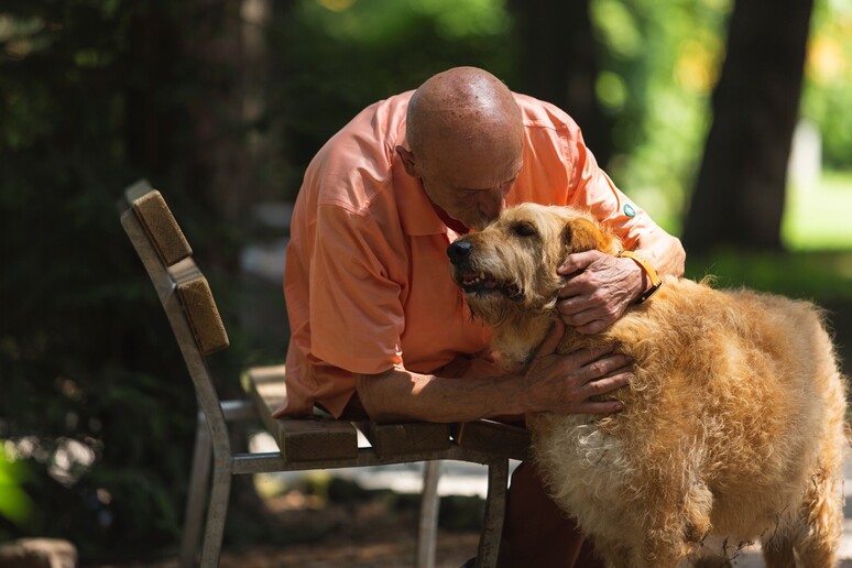 cani e anziani - RIPRODUZIONE RISERVATA