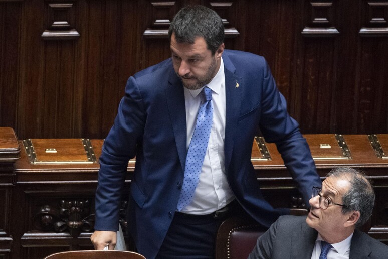 Salvini - RIPRODUZIONE RISERVATA