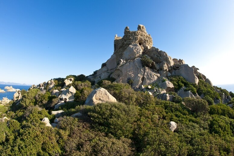 Isola Serpentara (credits Area Marina Capo Carbonara) - RIPRODUZIONE RISERVATA