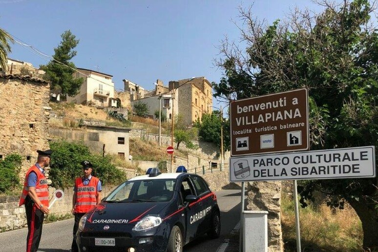 Droga: coltivava ed essiccava marijuana in casa,arrestato - RIPRODUZIONE RISERVATA