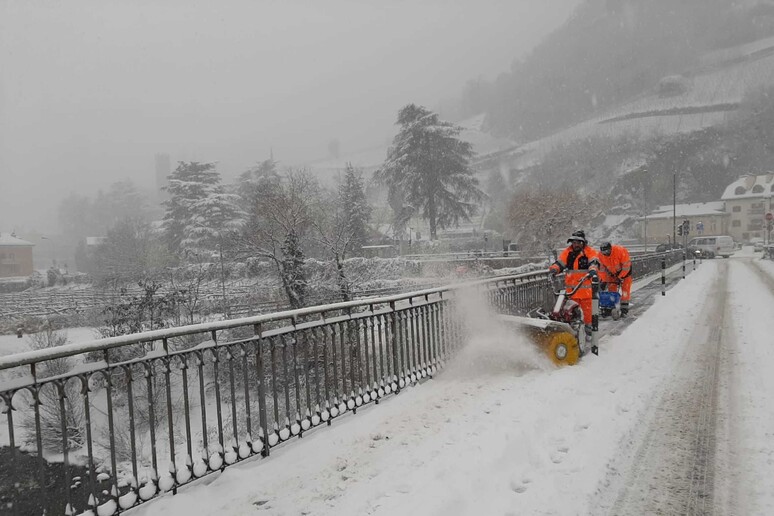 - RIPRODUZIONE RISERVATA