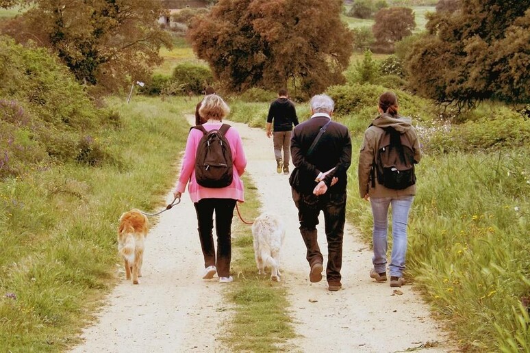 Passeggiate nelle vie del vino - RIPRODUZIONE RISERVATA