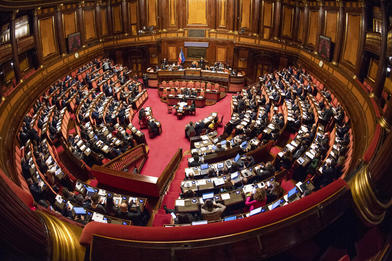 L 'Aula del Senato in una foto di archivio - RIPRODUZIONE RISERVATA